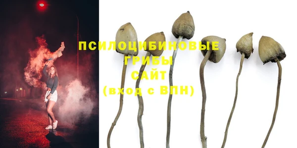 спайс Аркадак