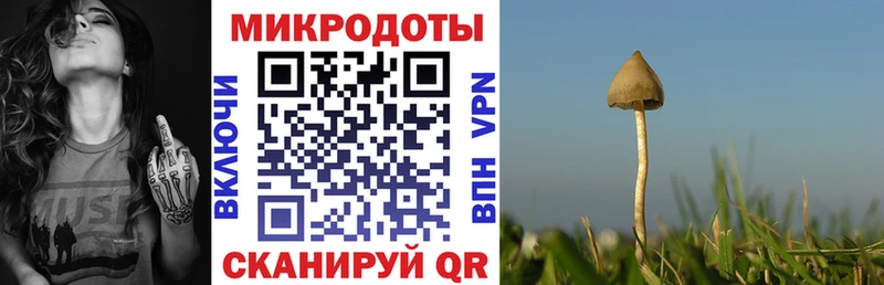 Псилоцибиновые грибы GOLDEN TEACHER  где купить наркотик  Буинск 